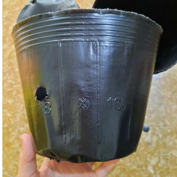 1kg chậu nhựa dẻo ươm cây 18x16