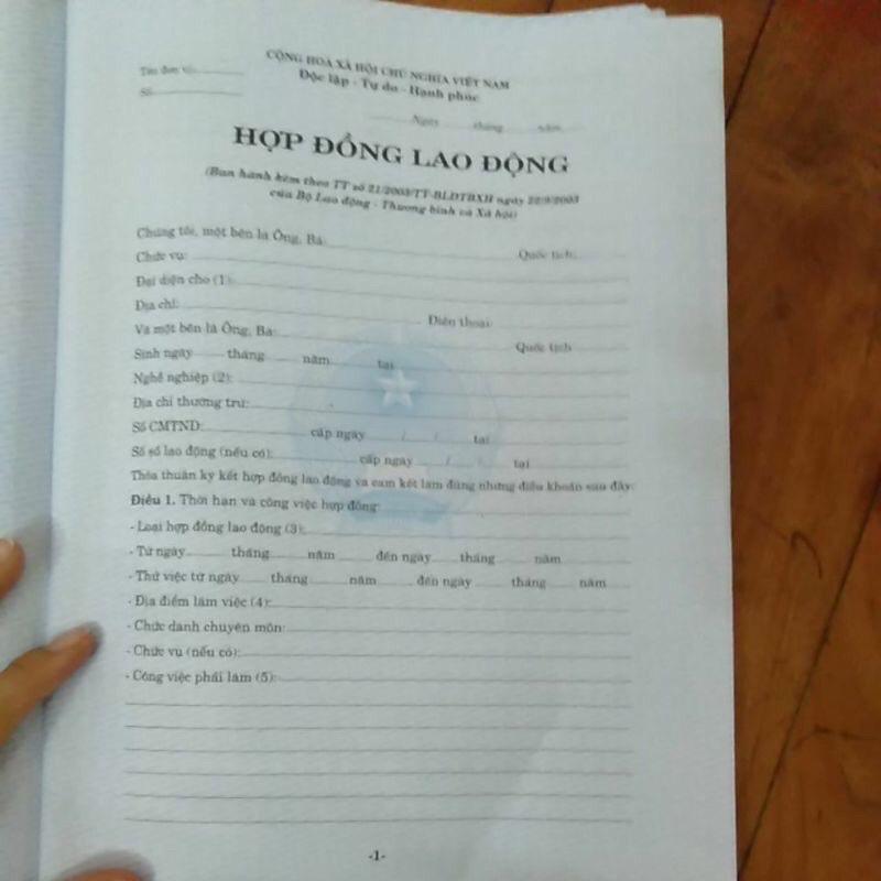 Hợp đồng lao động ( 50 bộ)