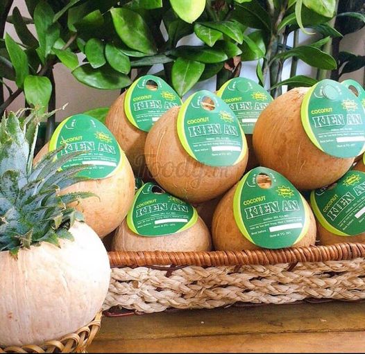 Set 5 trái Dừa Xiêm Trọc Size Lớn