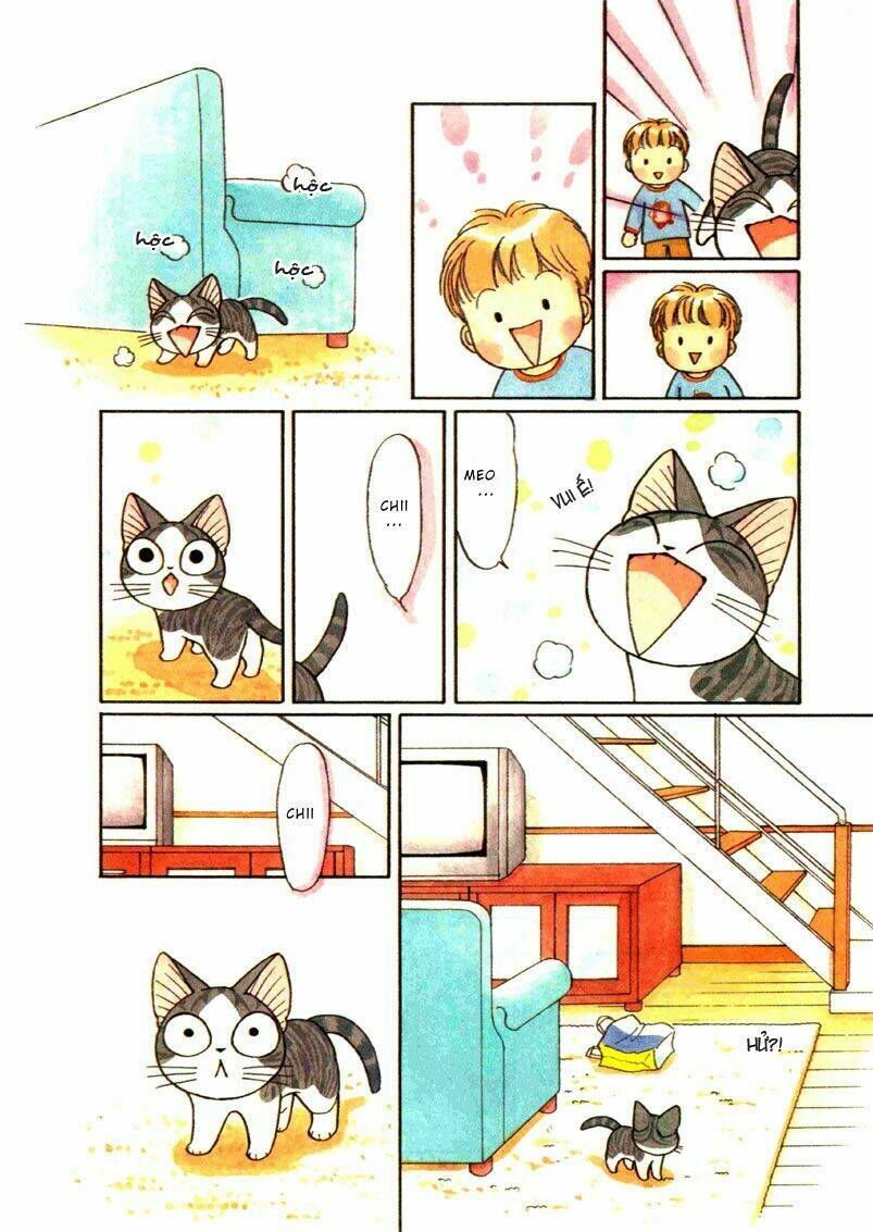 chi's sweet home chapter 71 5
