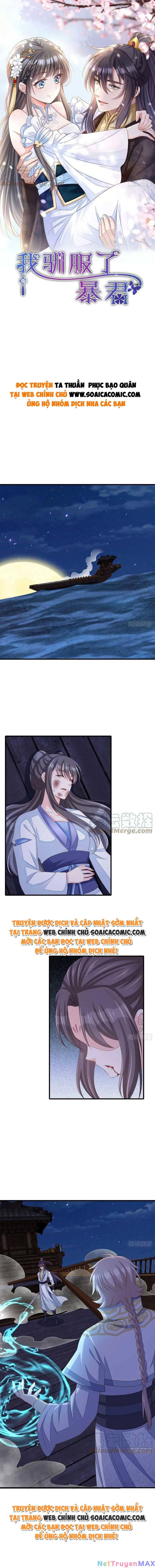 thuần hóa ba ba bạo quân chapter 61 1