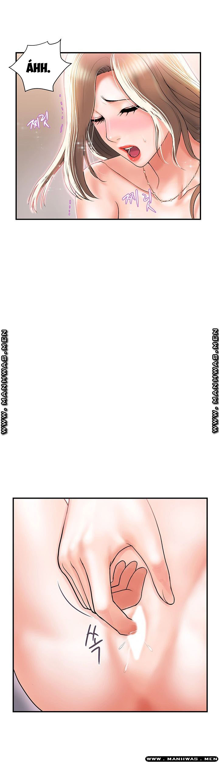 chất dẫn dục chapter 5 28