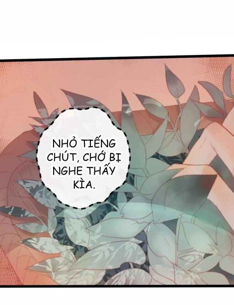 hồ minh chi hương chapter 1 40