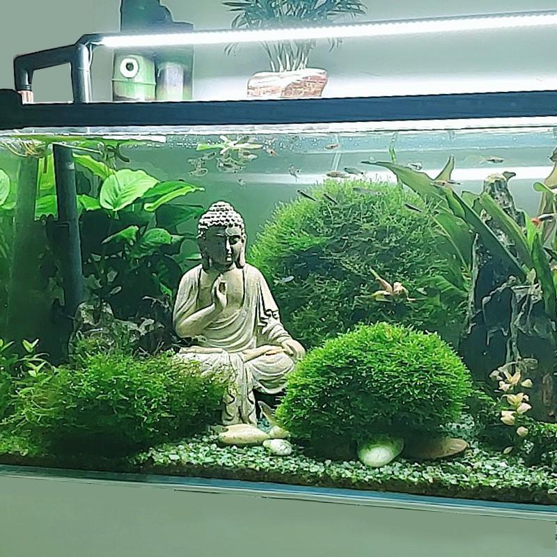 TƯỢNG PHẬT TRANG TRÍ HỒ CÁ - (mẫu 02) - Tượng set hồ ban cạn - terrarium