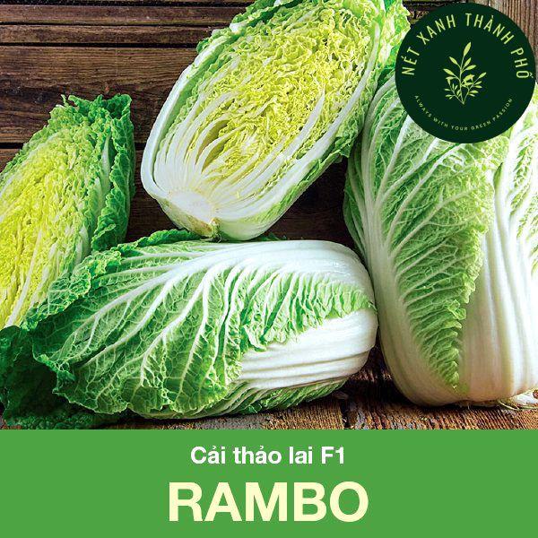 Hạt giống Cải Thảo Rambo, 0,5gr