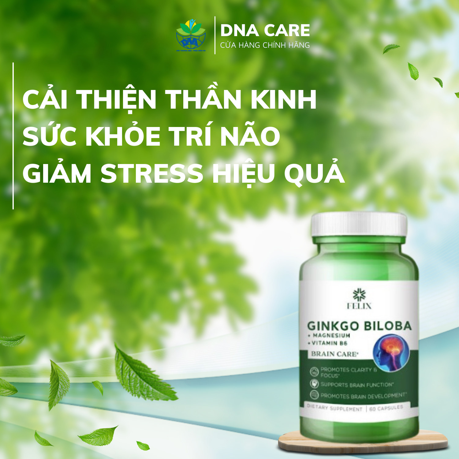 Viên uống bổ não Ginkgo Biloba Mỹ Felix lọ 60 viên