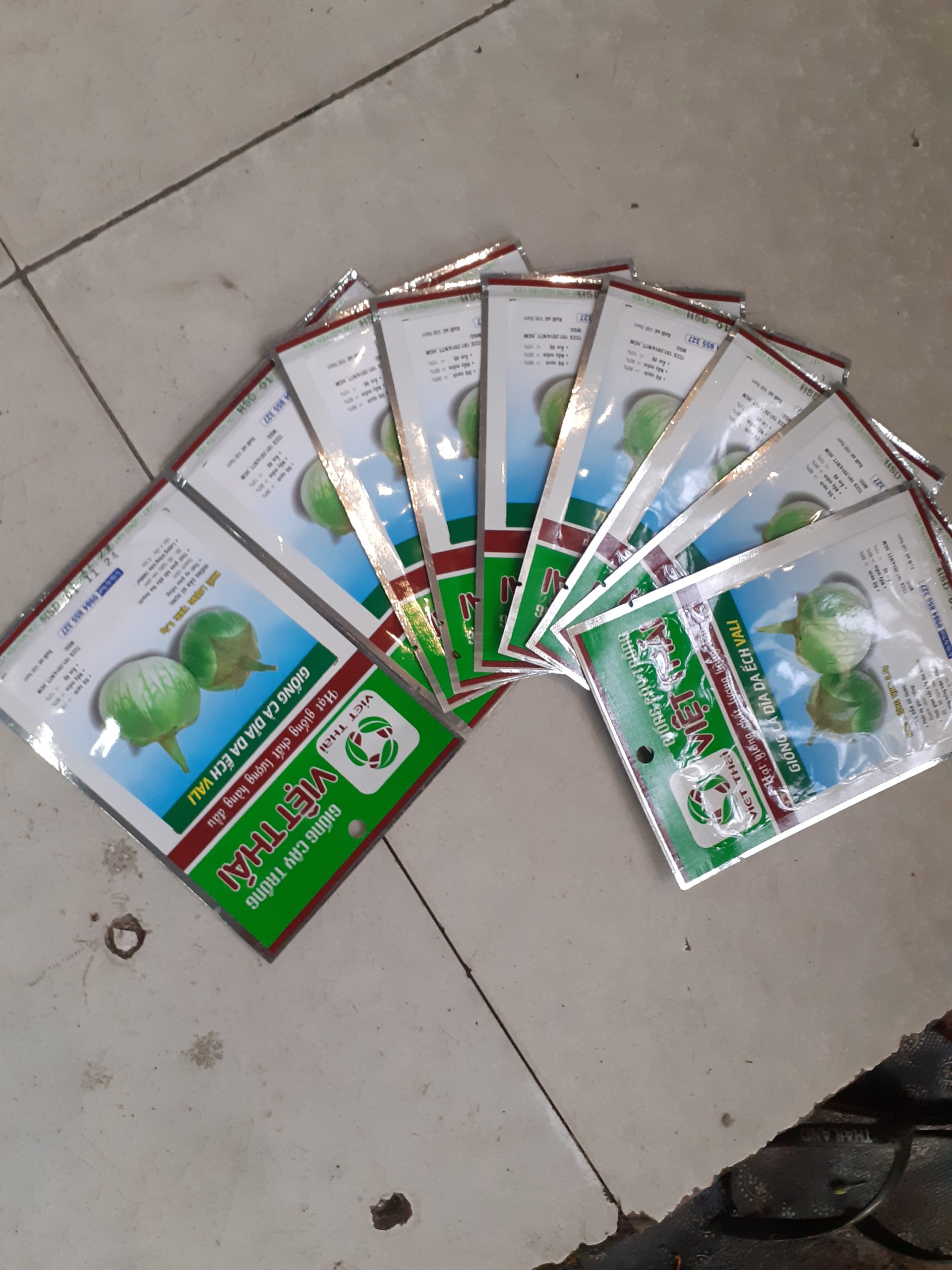 Combo 10 gói hạt giống CÀ DĨA DA ẾCH VALI