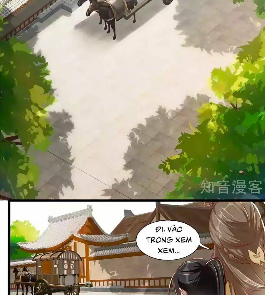 gian phi như thử đa kiều chapter 67 62