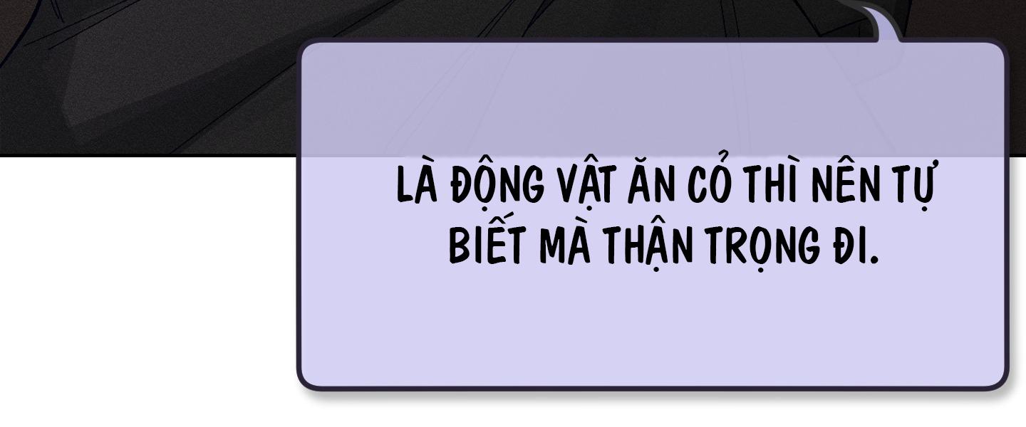 thỏ nhỏ xuất tinh trong 3 giây chapter 2 4