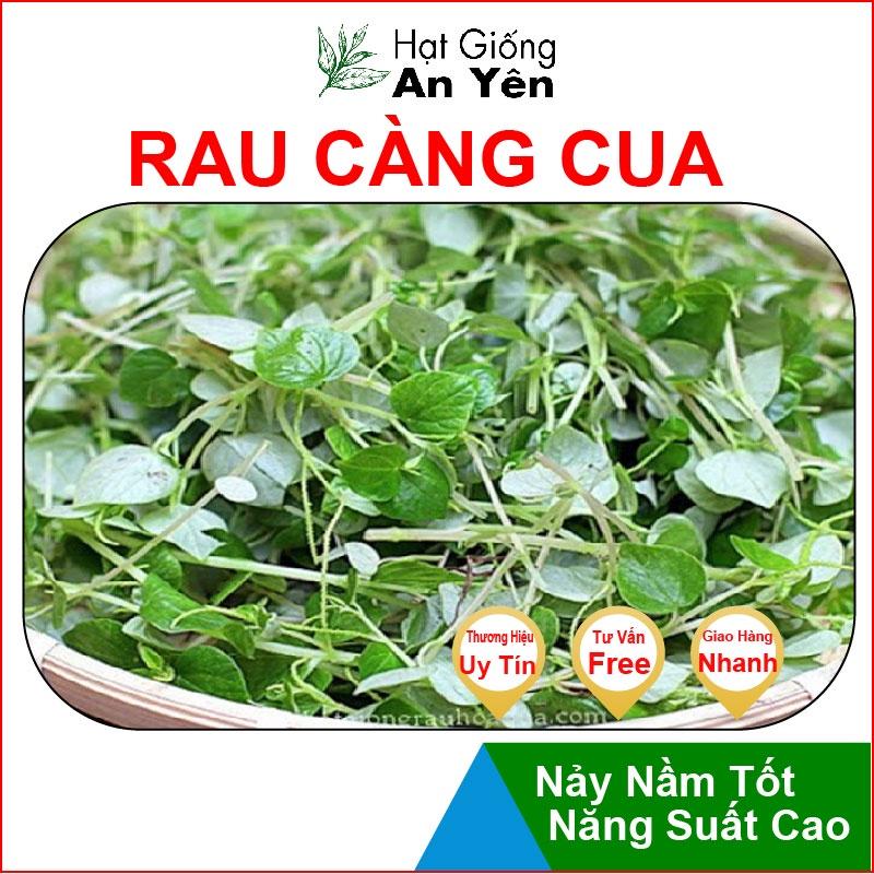 Hạt giống Rau Càng Cua thu hoạch sớm, dễ trồng, nảy mầm cao, sinh trưởng khoẻ