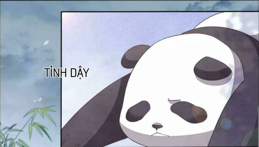 xuyên về cổ đại làm quốc bảo chapter 4 33