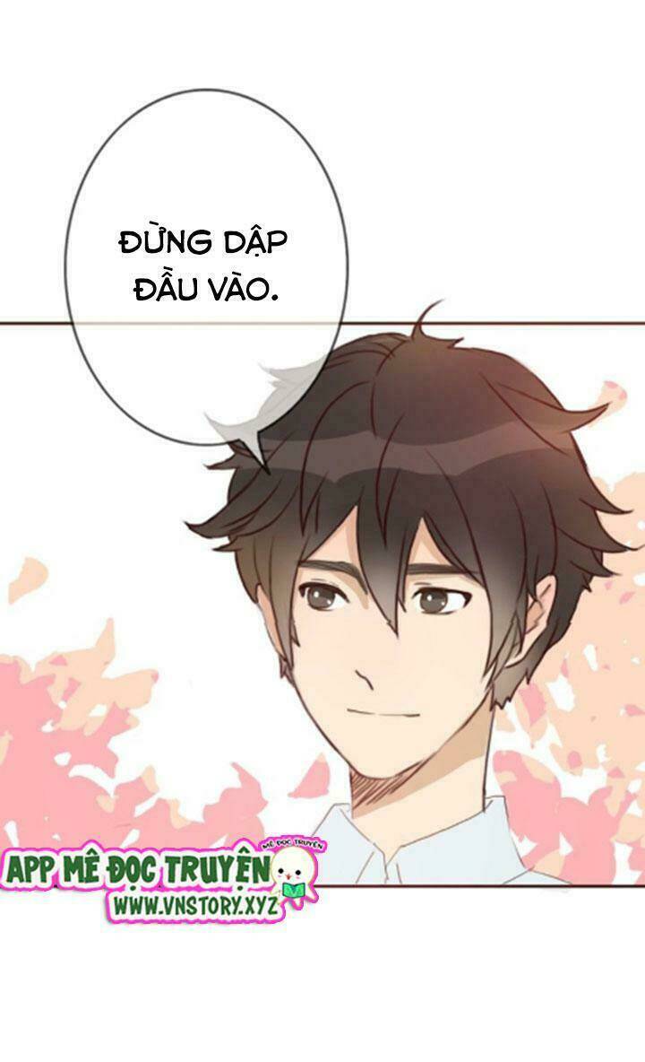 tình yêu không nói dối chapter 28 12