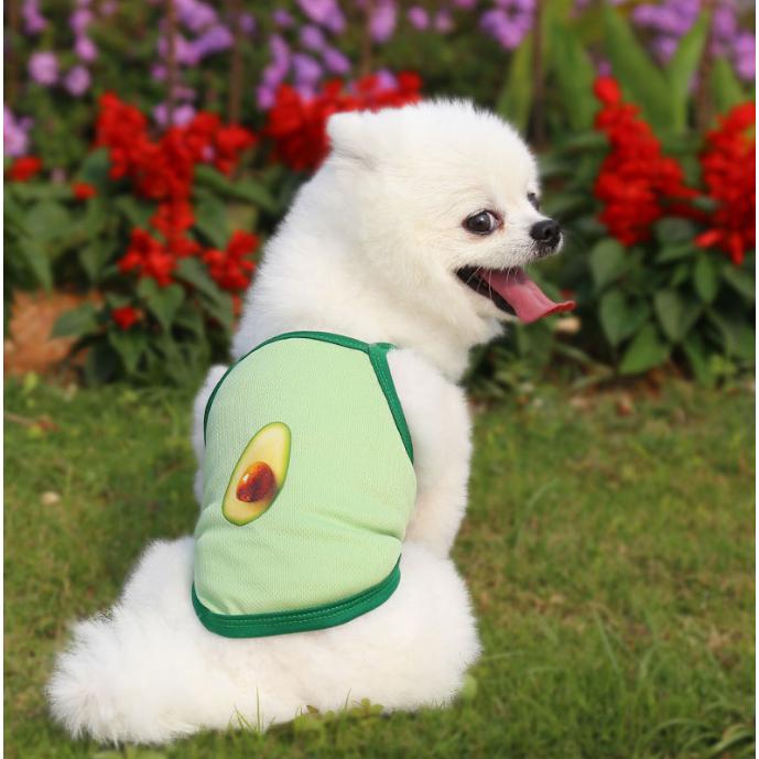 Áo vải cotton cho chó mèo 2 chân , mỏng nhẹ , mát , Đủ Size, Quần áo Thú Cưng