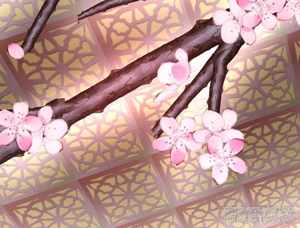 thái tử phi nhà ta thật hung hăng chapter 15 100