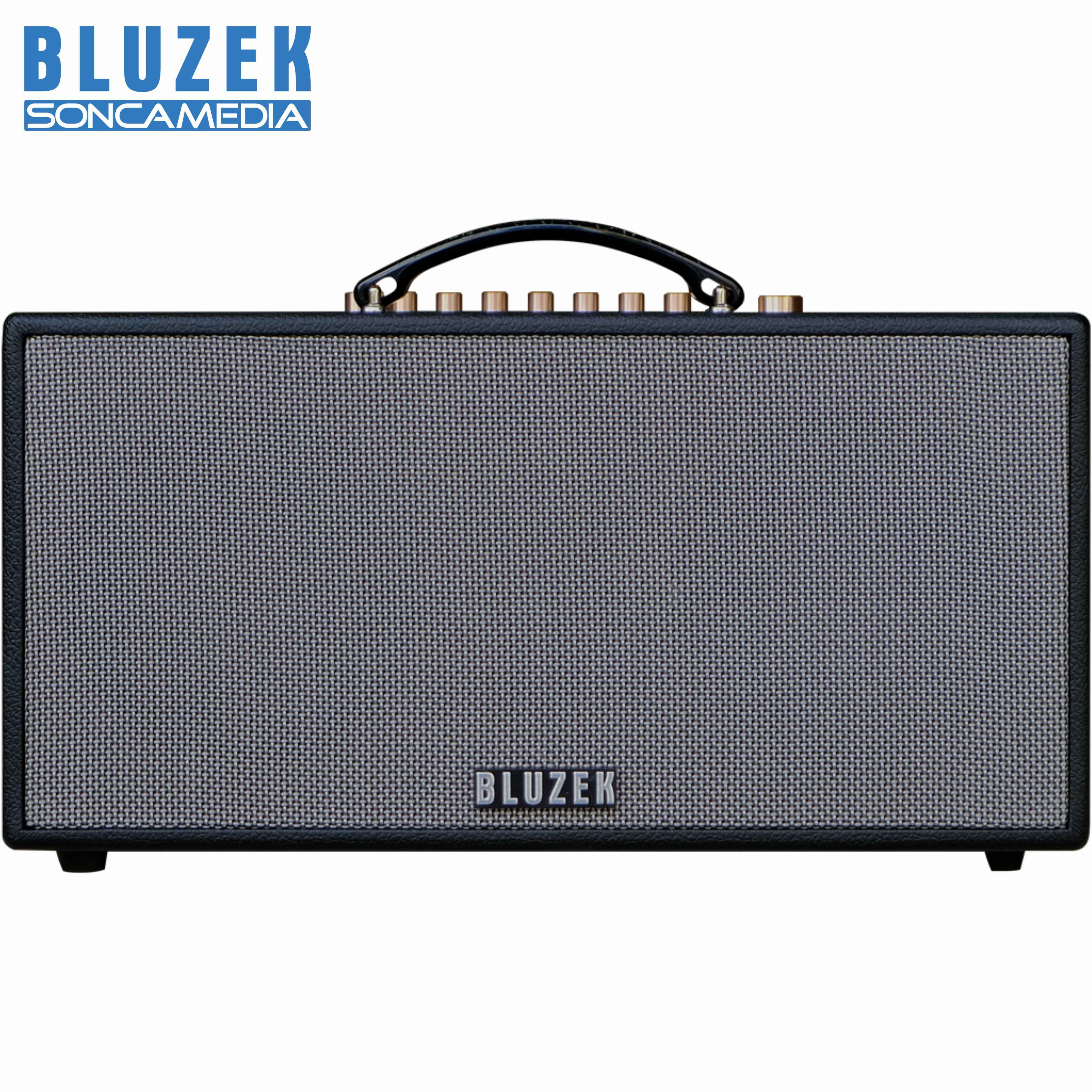 Dàn âm thanh di động xách tay BLUZEK BZ450PLUS