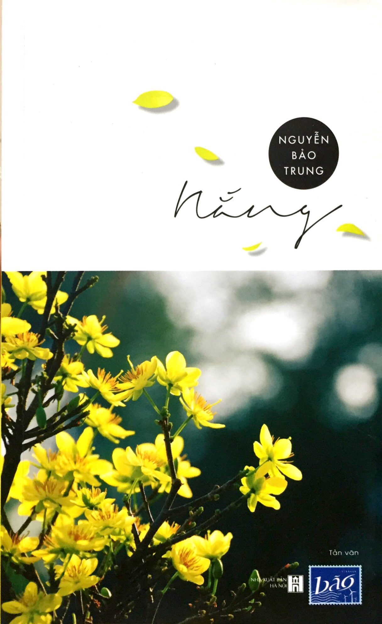 Combo Mây - Nắng - Sen - Vô thường