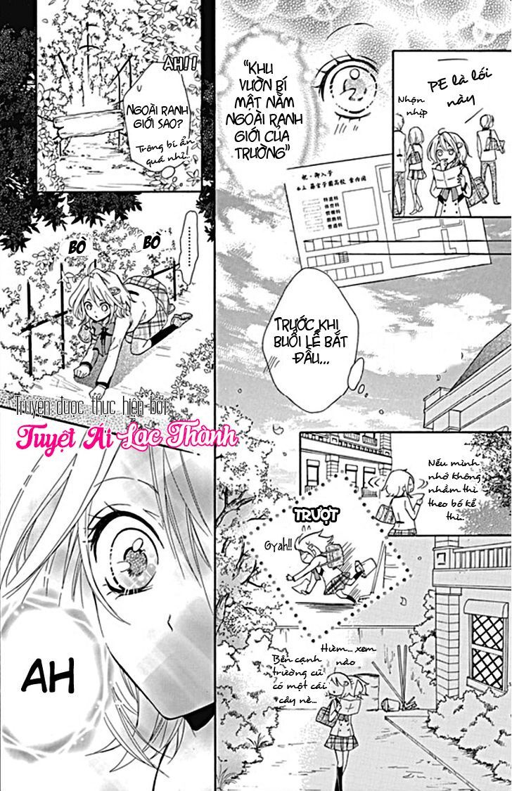 primo prima! chapter 1 9