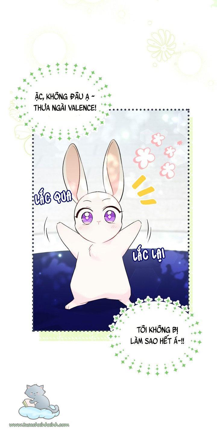 quan hệ cộng sinh giữa báo đen và thỏ trắng chapter 56 5
