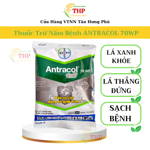 Thuốc Trừ bệnh Antracol 70WP | TRỪ NẤM BỆNH | GÓI 100G, 1 KG