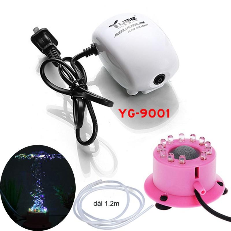 Bộ đèn led tự đổi màu kèm máy bơm sủi bọt khí oxy cho bể cá cảnh