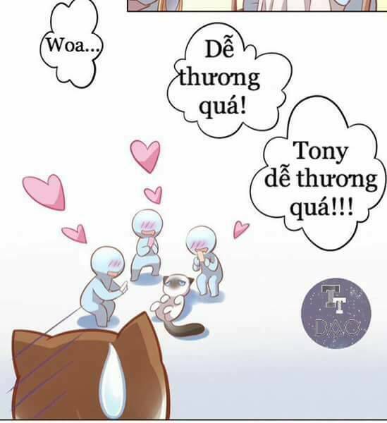 dưới móng vuốt mèo chapter 8 33