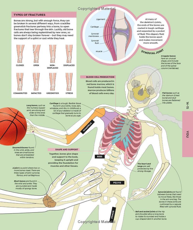 Sách ngoại văn: How Everything Works - From Brain Cells To Black Holes