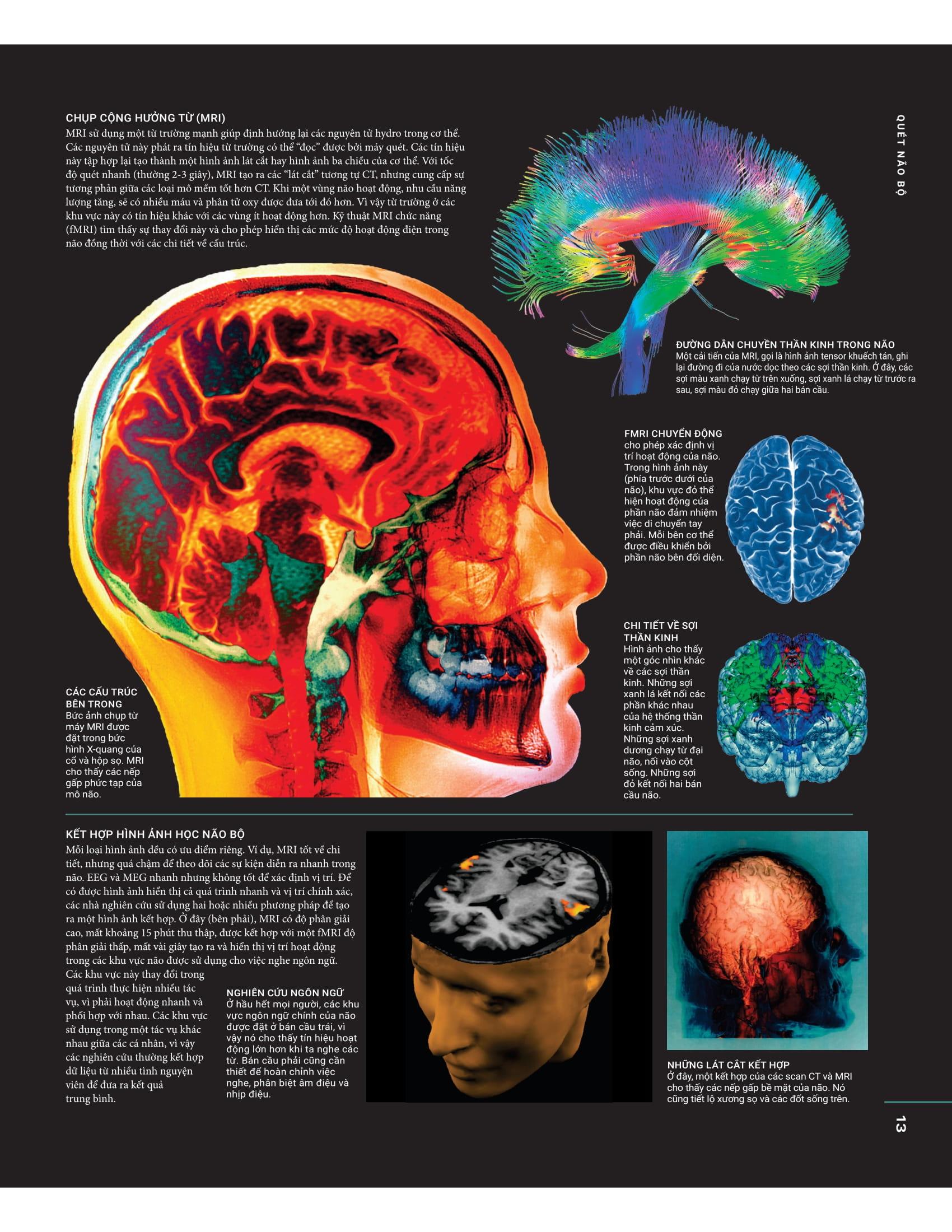 The Brain Book - Não Chúng Ta Có Gì Và Làm Gì? - Bìa Cứng