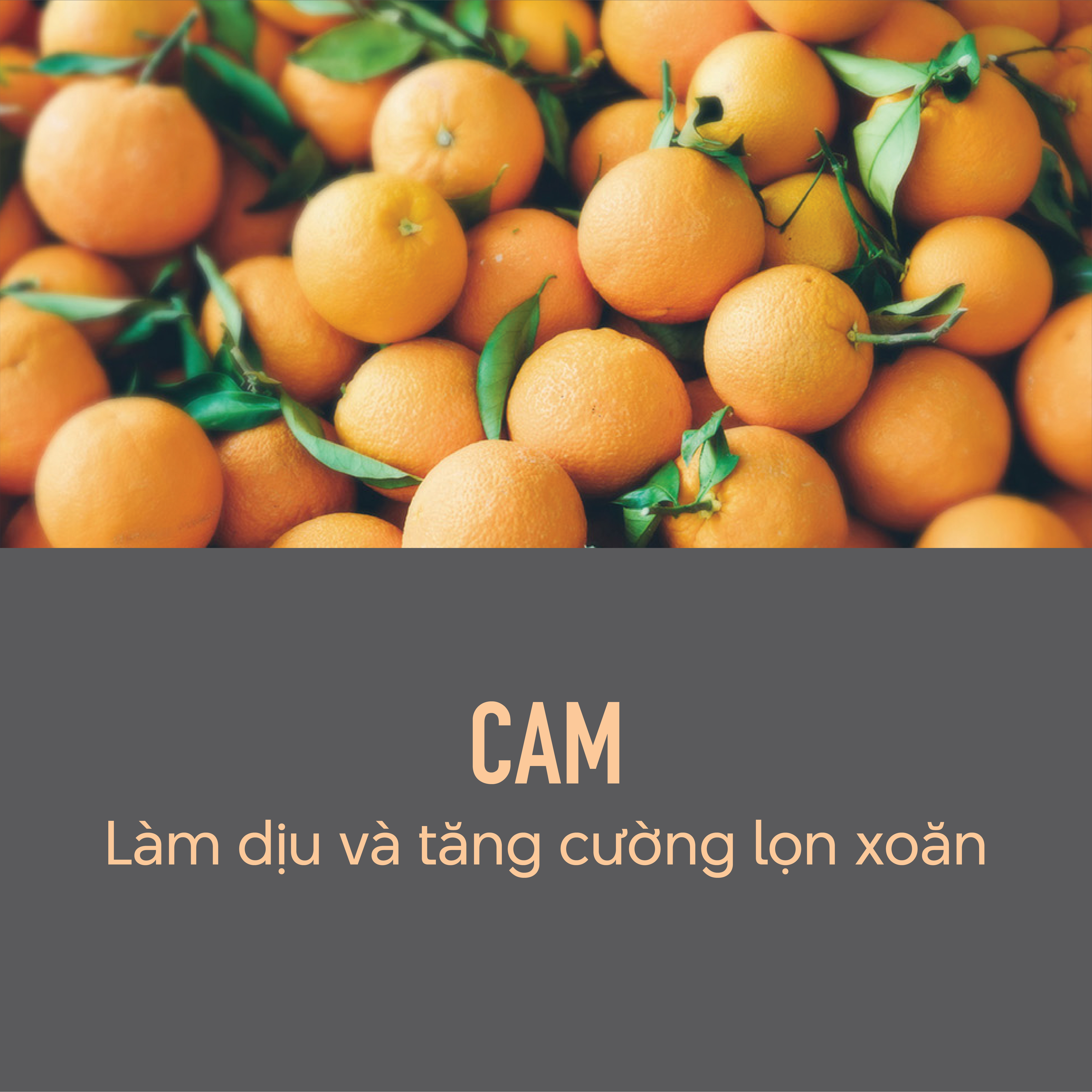 Sữa Dưỡng Tóc Giúp Định Hình Lọn Xoăn Goldwell KMS Curlup Kiểm Soát Xơ Rối, Chống Ẩm Đến 72h - 100ml