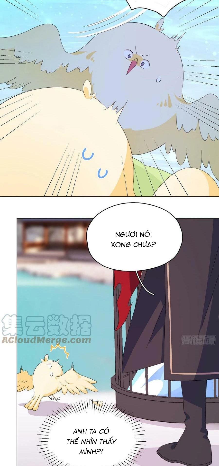 nhất hoàng cửu công thập nhị thê chapter 72 16