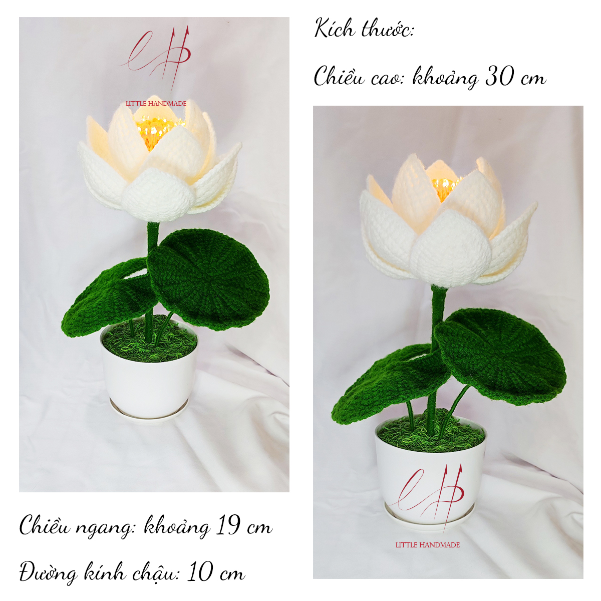Chậu hoa sen trắng 12 cánh 30x19x10 cm trang trí bàn học, bàn làm việc, làm đèn ngủ, quà tặng,...