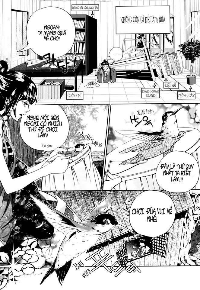 người yêu tôi là borumi chapter 1 15