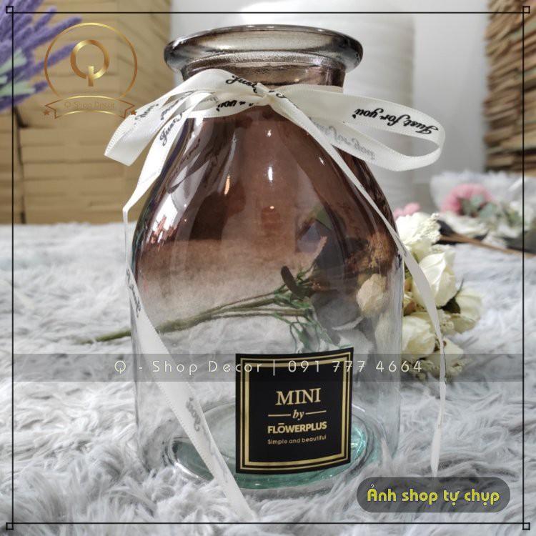 Lọ hoa, bình hoa thủy tinh cao cấp thắt nơ trang trí nội thất Mini Flower Plus Vintage