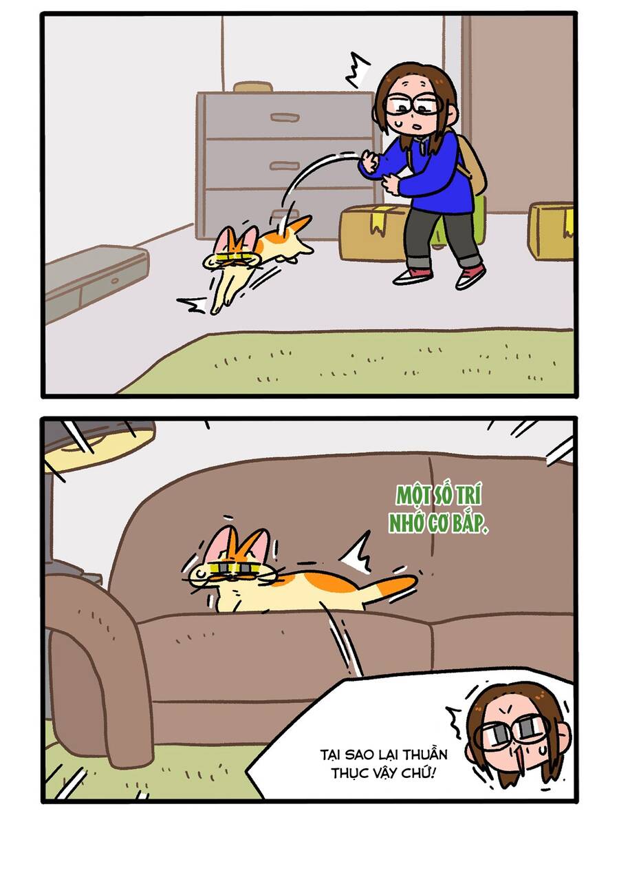 a mãn và mạch trà chapter 149 2