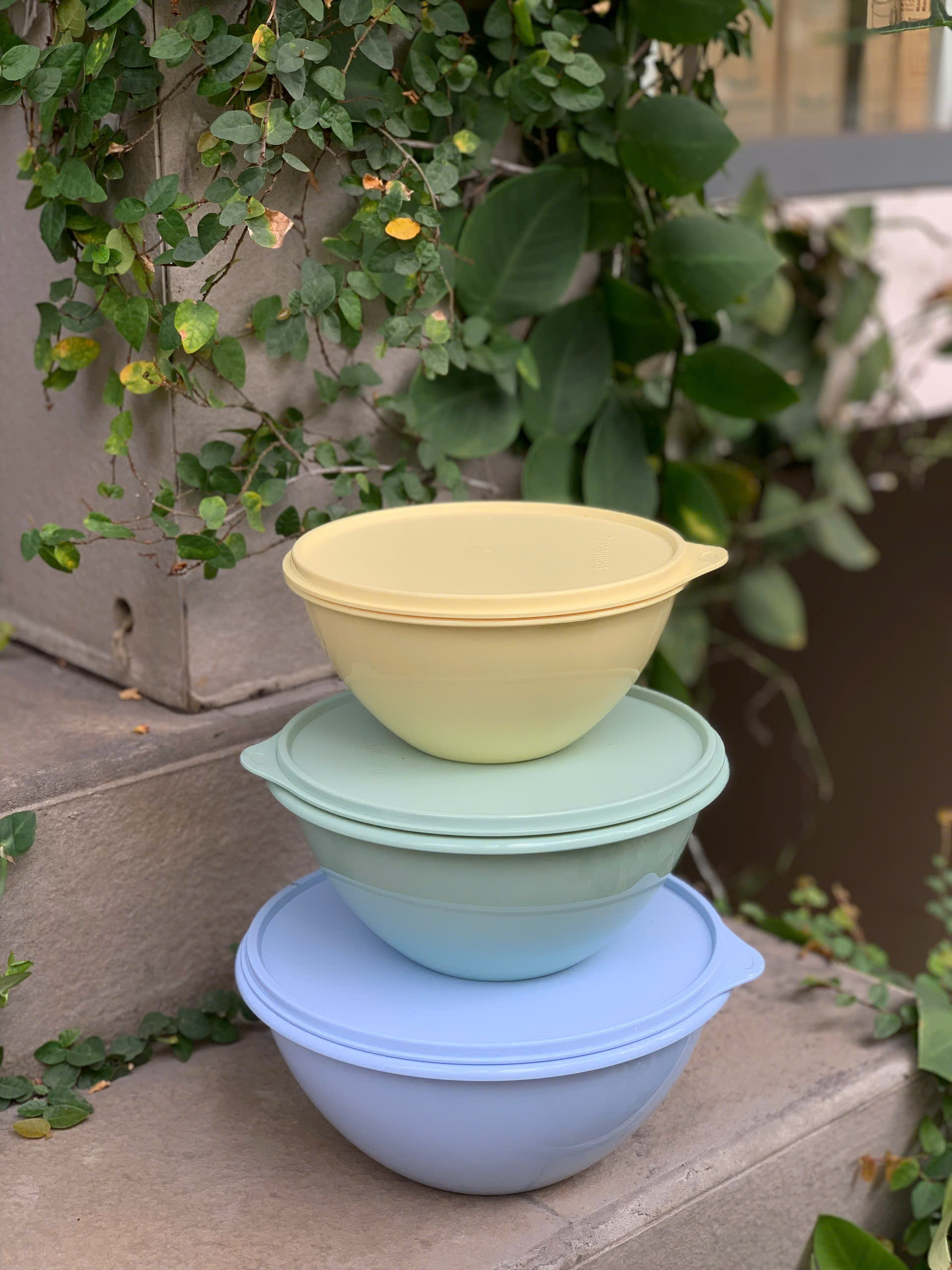 Bộ 3 Hộp Đựng Thực Phẩm Tupperware Trữ Khô Và Mát Original Bowl 2.5L 1.7L 1.1L