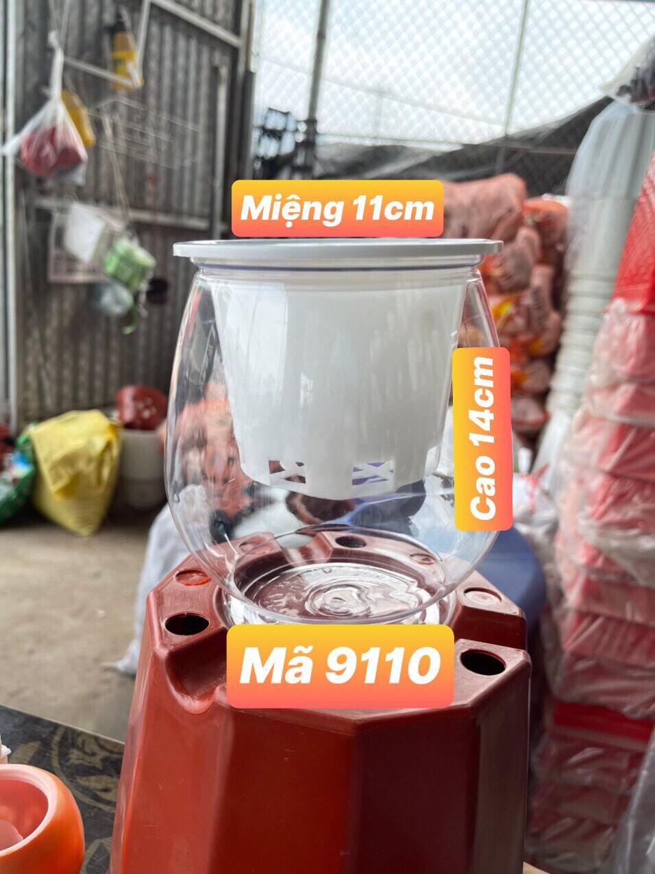 3 Chậu nhựa trồng cây thủy sinh, thủy canh bằng nhựa trong suốt  MÃ 9110