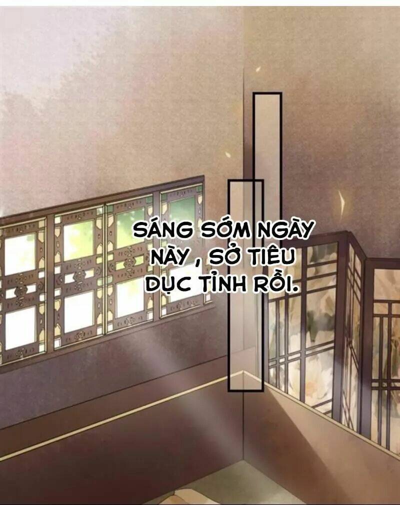 sủng phi của vương chapter 126 1