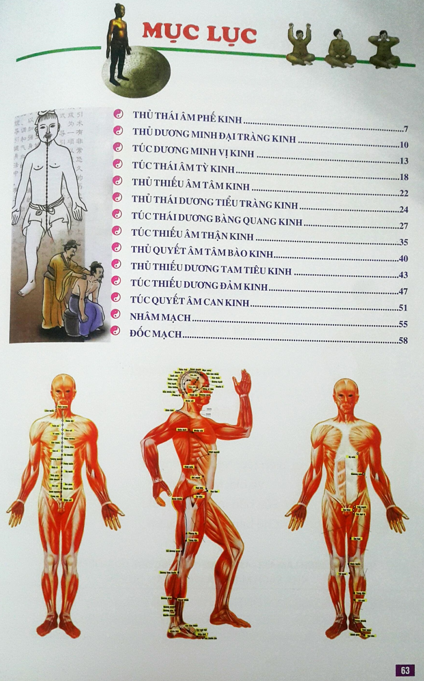 Huyệt Vị Kinh Lạc Cơ Thể Người