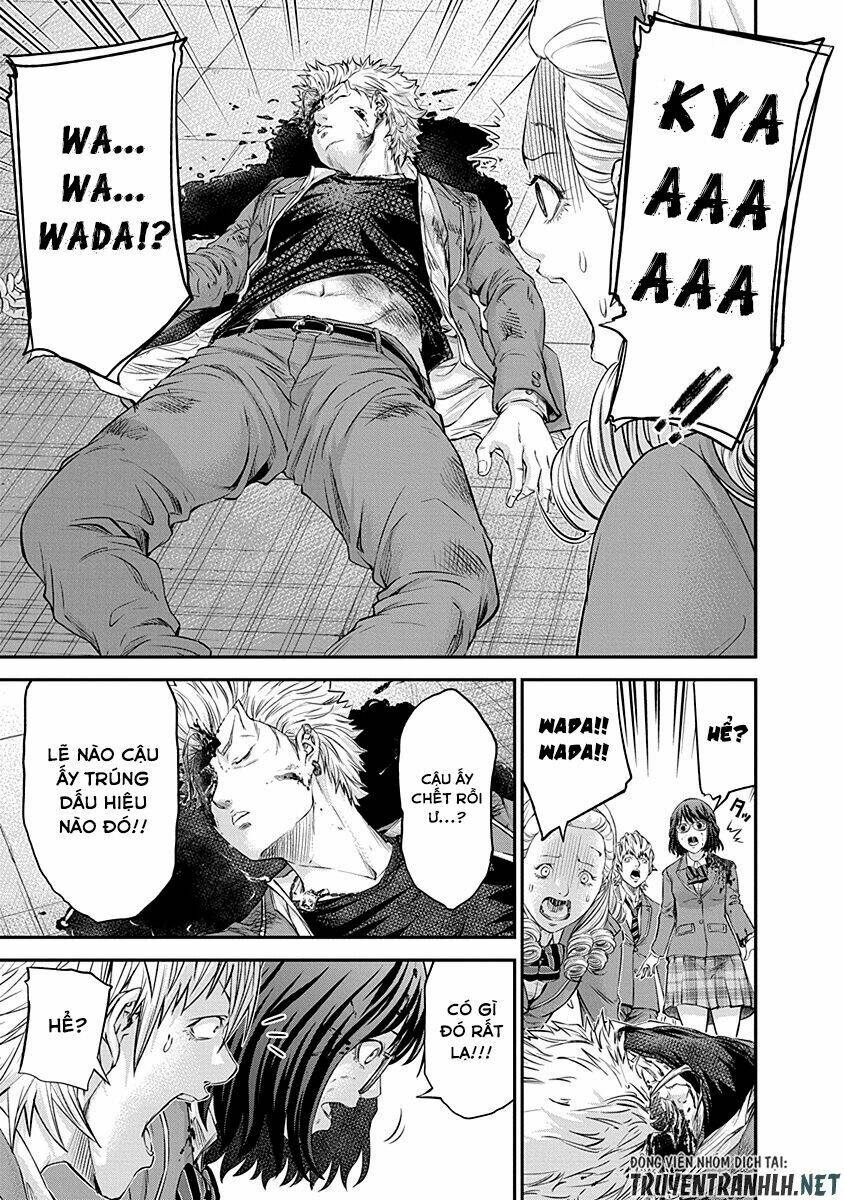 signal 100 chapter 14 17