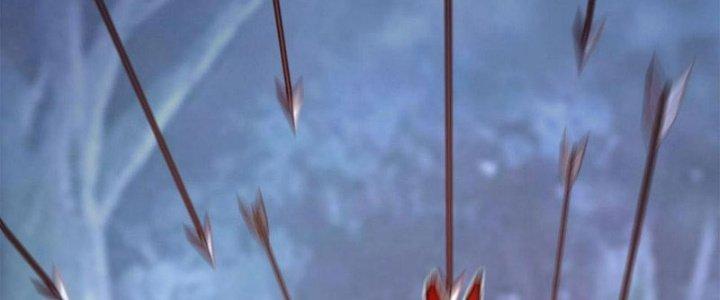 đại tần, ta là con tần thủy hoàng, giết địch thành thần chapter 13 133