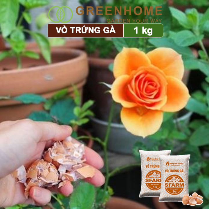 Vỏ trứng gà đã qua xử lý Sfarm, bao 1kg, giúp cây khoẻ, chống côn trùng, sâu bọ |Greenhome