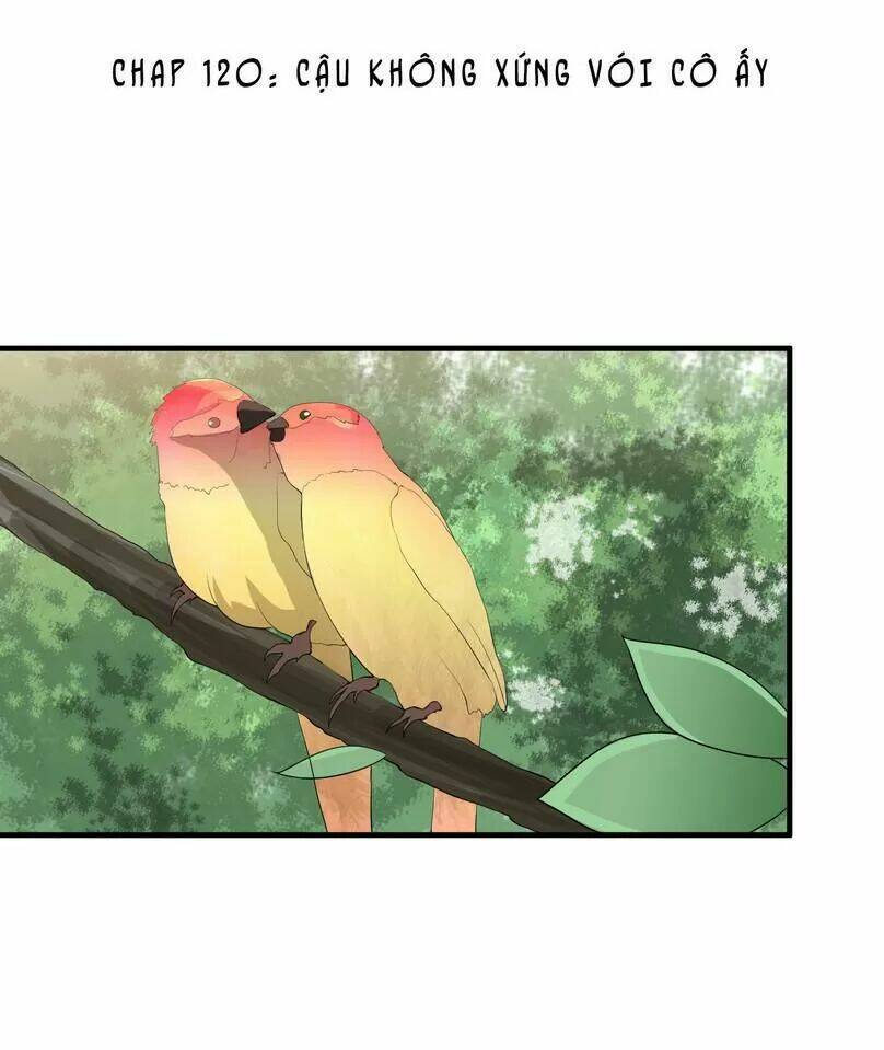 cô dâu gả thay của tổng tài chapter 120 1