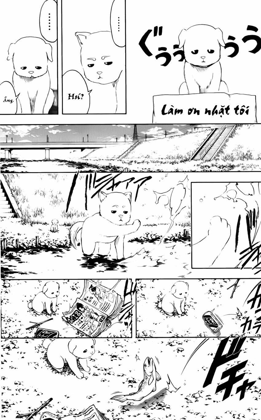 gintama - linh hồn bạc chapter 401 9