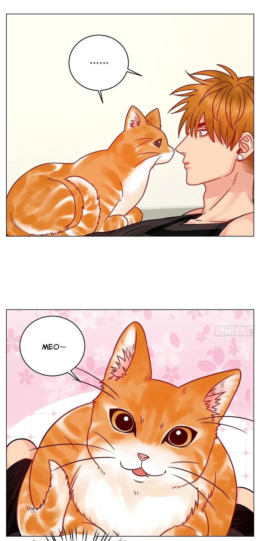 ký túc xá nam phòng 303 chapter 189 15