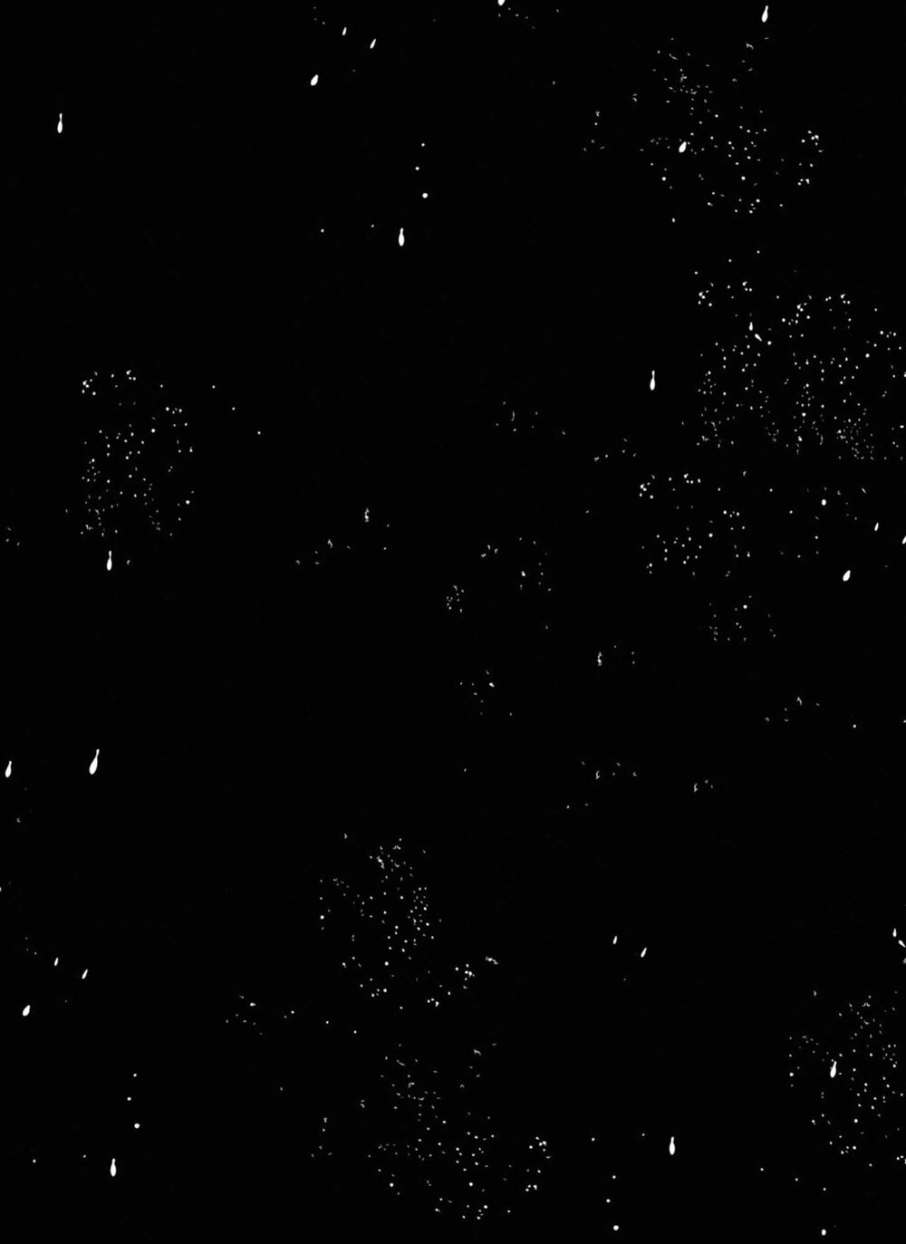 itoshi no ko, charlotte chapter 17.5 9