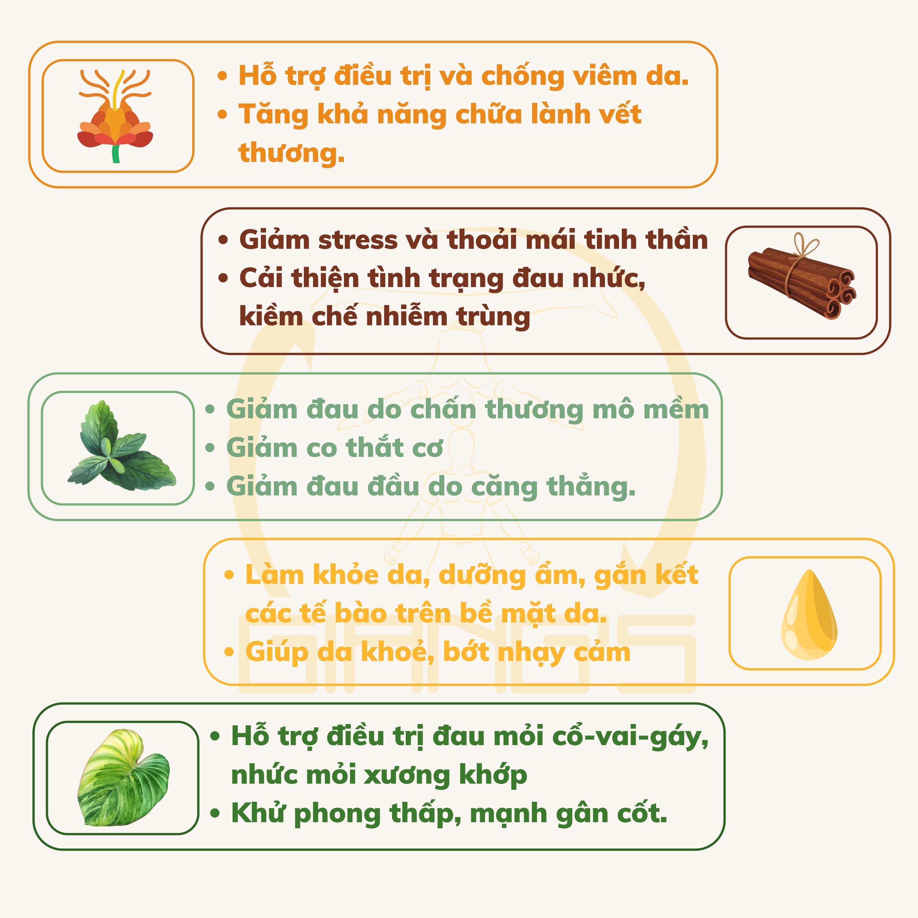 Cao xoa bóp thảo dược hỗ trợ cải thiện đau-nhức mỏi cực mạnh, Dầu xoa bóp gia truyền Quốc Cơ Quốc Nghiệp Thẩm Thấu Nhanh 50mL