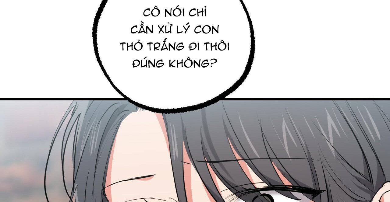 đàn thỏ của habibi chapter 36 100