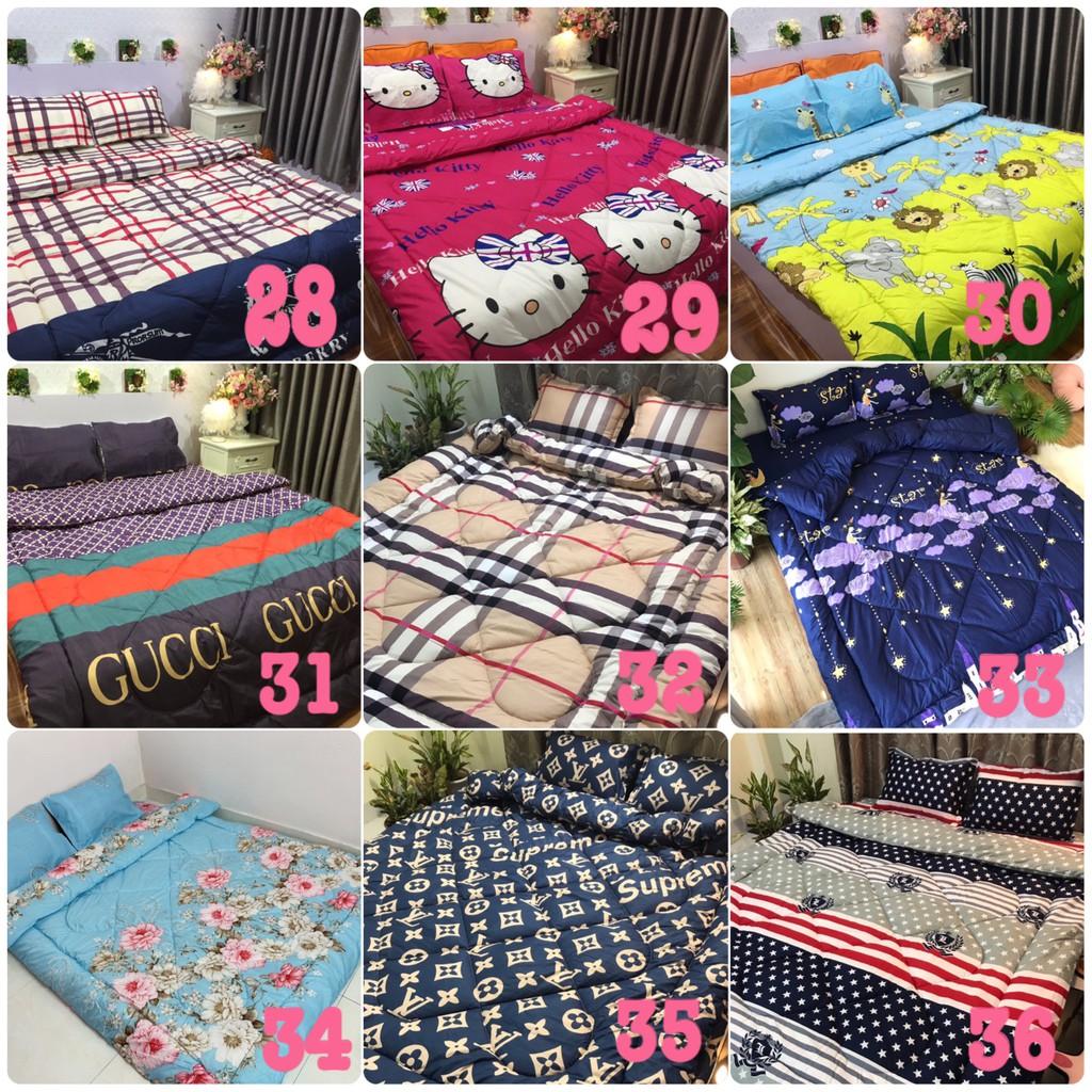 Bộ chăn phao ga gối poly cotton,được chọn mẫu,cúc họa mi vàng