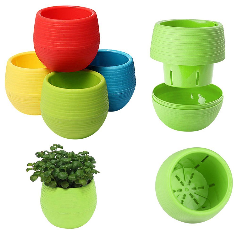 Chậu Trồng Sen Đá Mini TH Garden - Có Đáy Trữ Nước, Trồng Sen Đá, Xương Rồng Cực Đẹp - Sử Dụng Decor Phòng, Trang Trí Sân Vườn