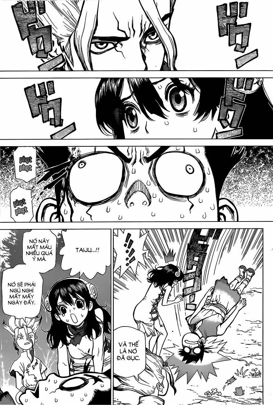 dr.stone - hồi sinh thế giới chapter 6 14