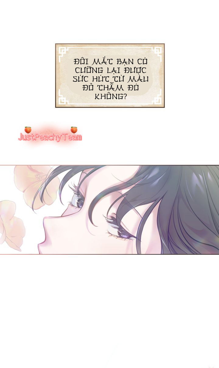 khi những nụ hoa nở rộ chapter 0 29